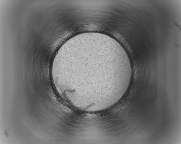 X0000102360442200808221720