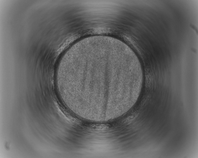 X0000102360443200808221720