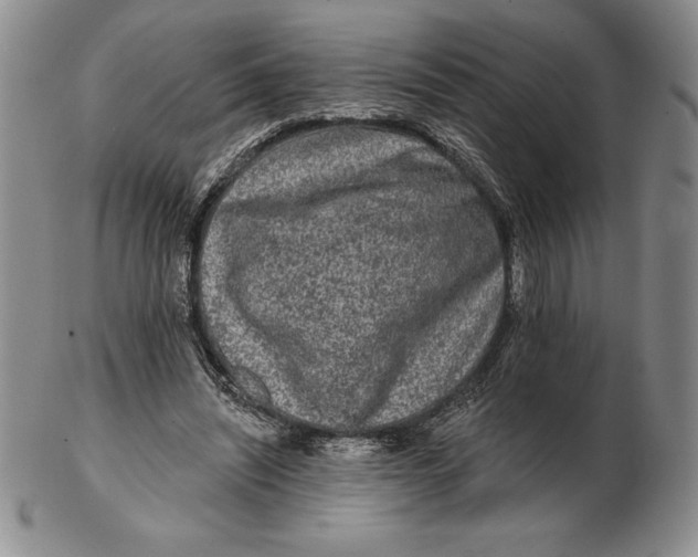 X0000102360444200808221720