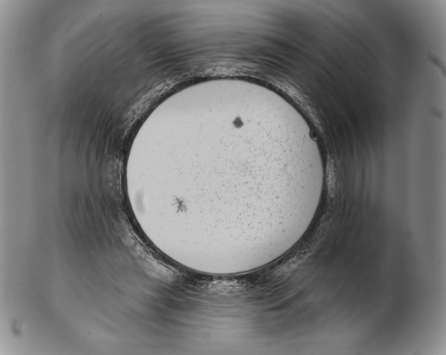 X0000102360445200808221720