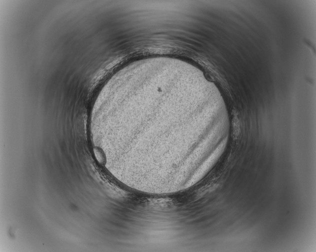 X0000102360446200808221720