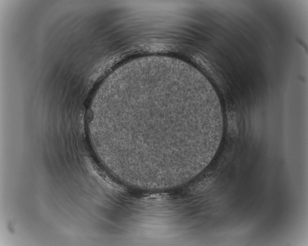 X0000102360447200808221720