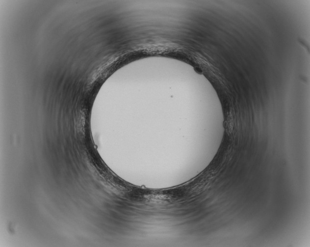 X0000102360448200808221720