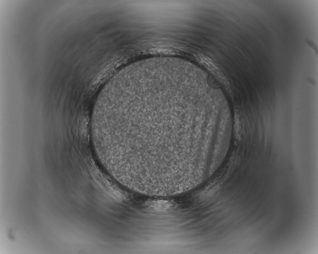 X0000102360449200808221720