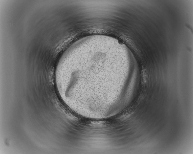 X0000102360450200808221720