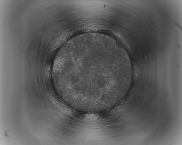 X0000102360451200808221720