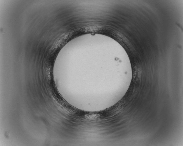 X0000102360452200808221720