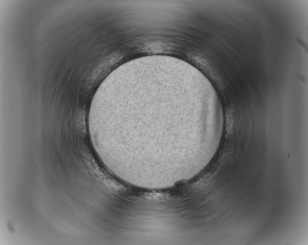 X0000102360453200808221720