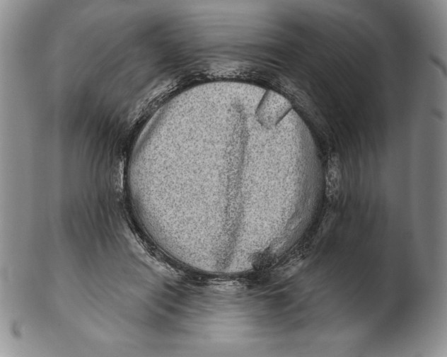 X0000102360454200808221720