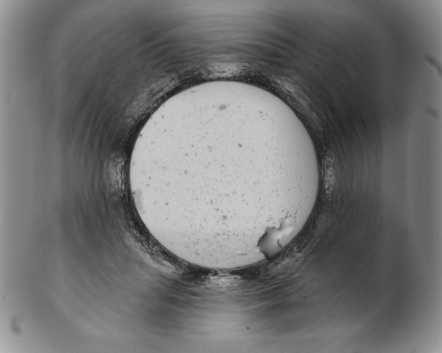 X0000102360455200808221720