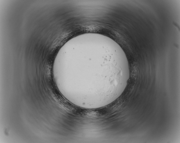 X0000102360456200808221720