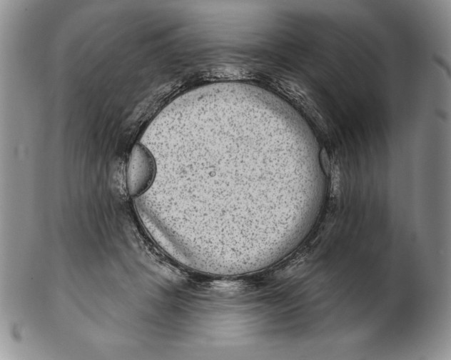 X0000102360457200808221720