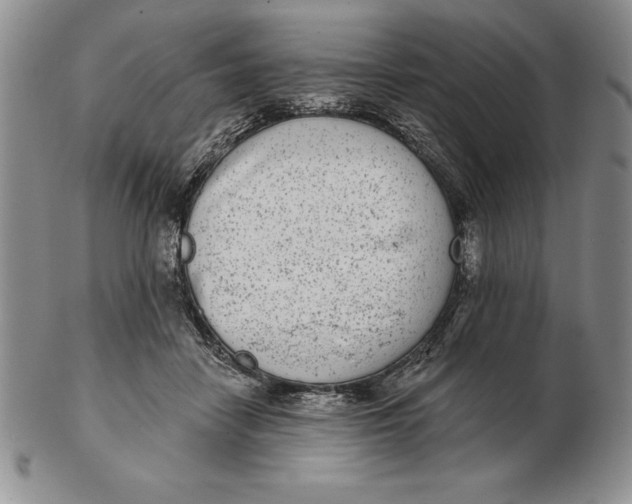 X0000102360458200808221720