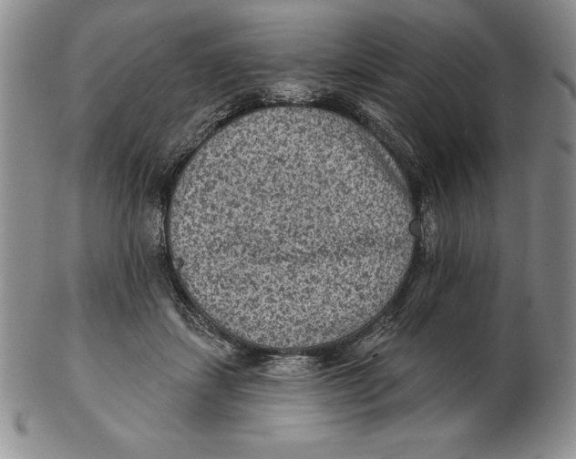 X0000102360459200808221720