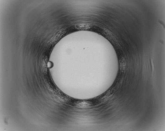 X0000102360460200808221720