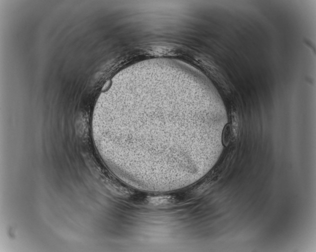 X0000102360461200808221720