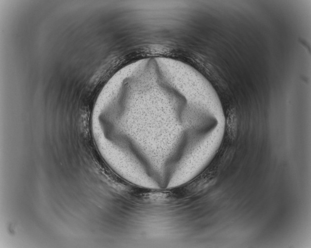 X0000102360462200808221720