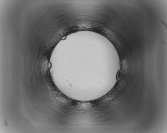 X0000102360463200808221720