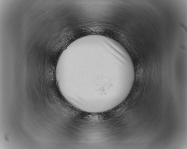 X0000102360464200808221720