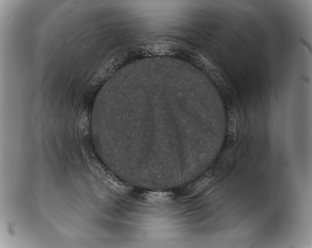 X0000102360465200808221720