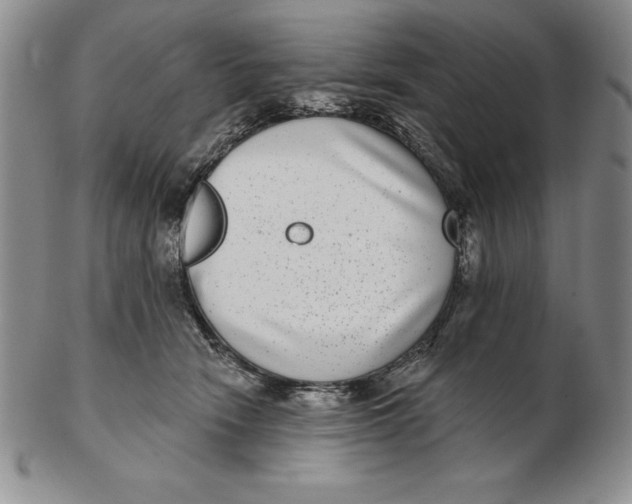 X0000102360466200808221720