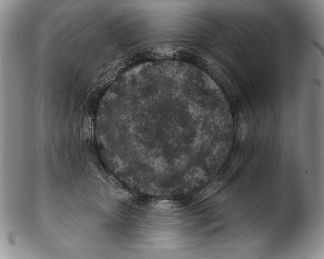 X0000102360467200808221720