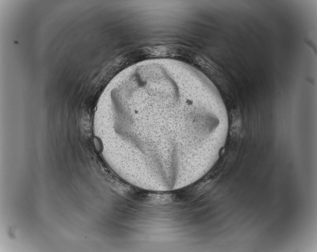 X0000102360469200808221720