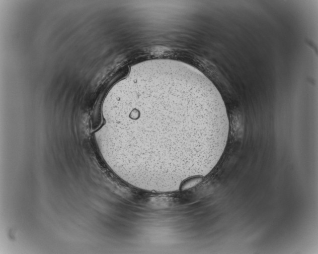 X0000102360470200808221720