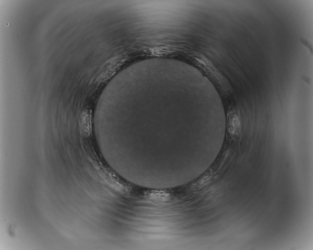 X0000102360471200808221720