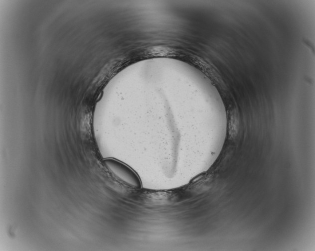 X0000102360473200808221720