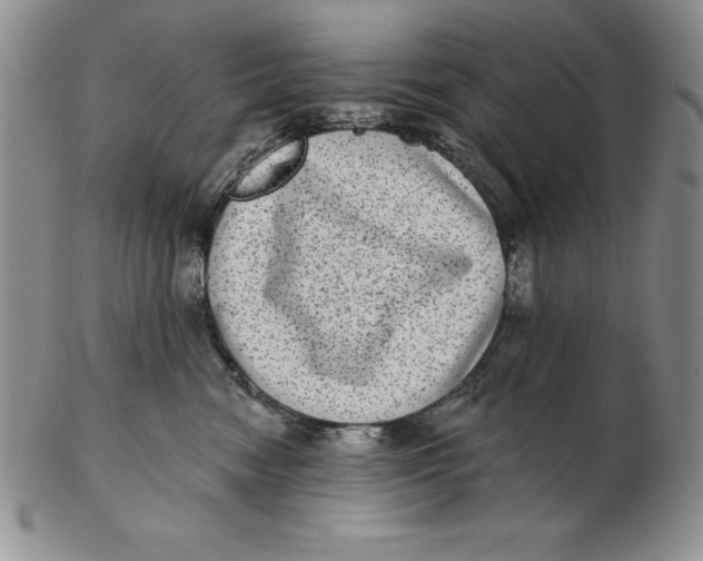 X0000102360474200808221720