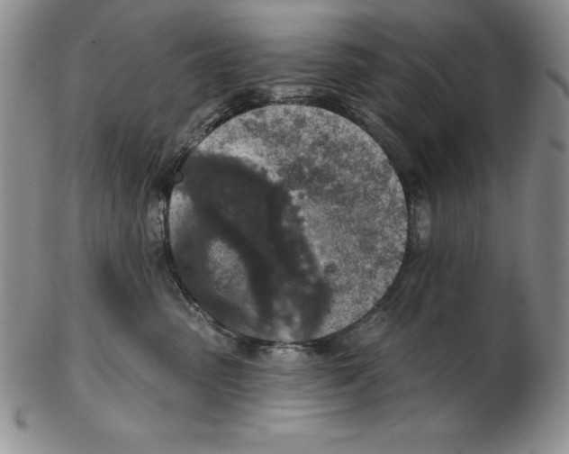 X0000102360475200808221720