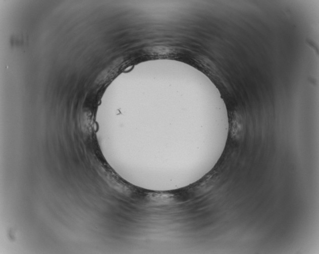 X0000102360476200808221720