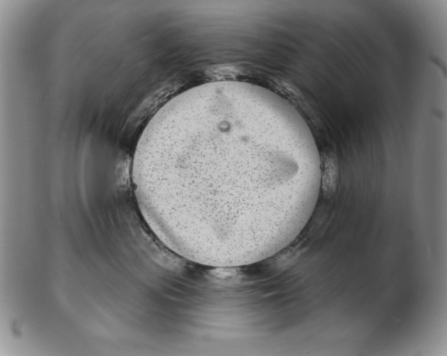 X0000102360477200808221720