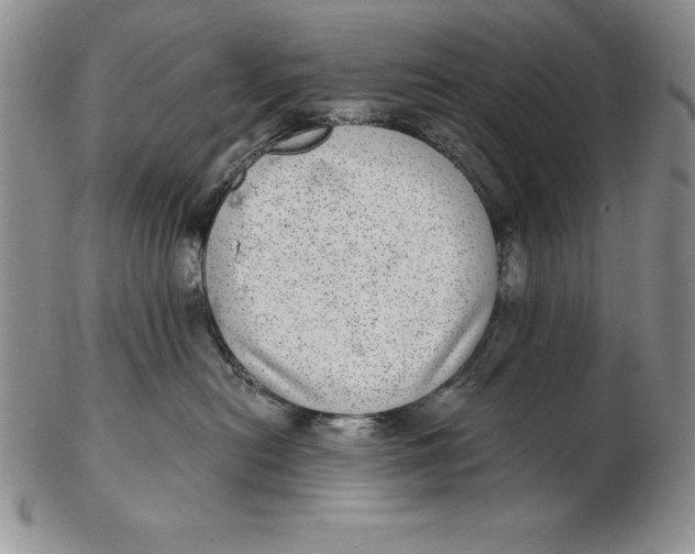 X0000102360478200808221720