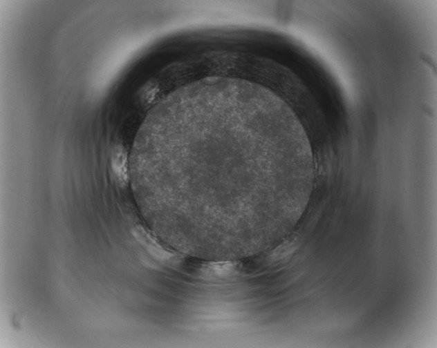 X0000102360479200808221720