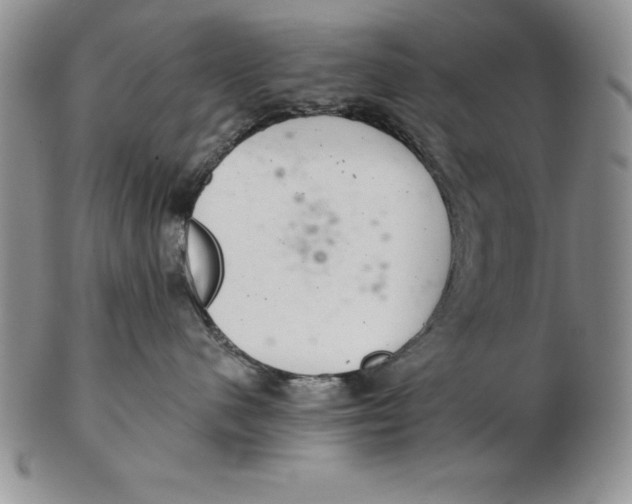 X0000102360480200808221720