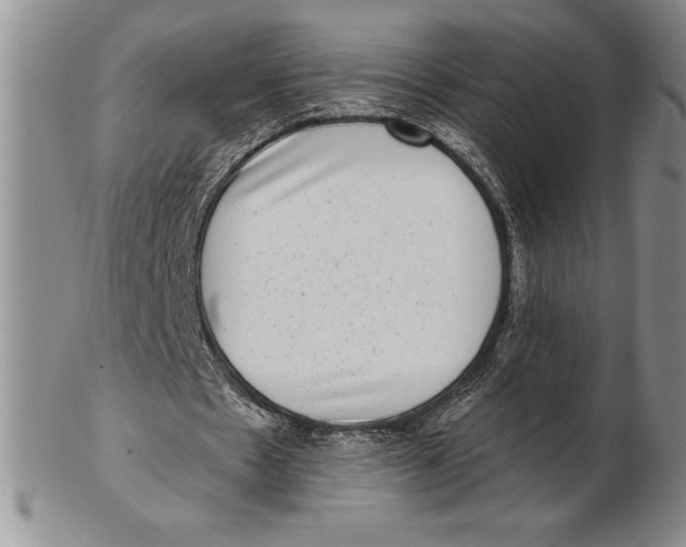 X0000102360481200808221719