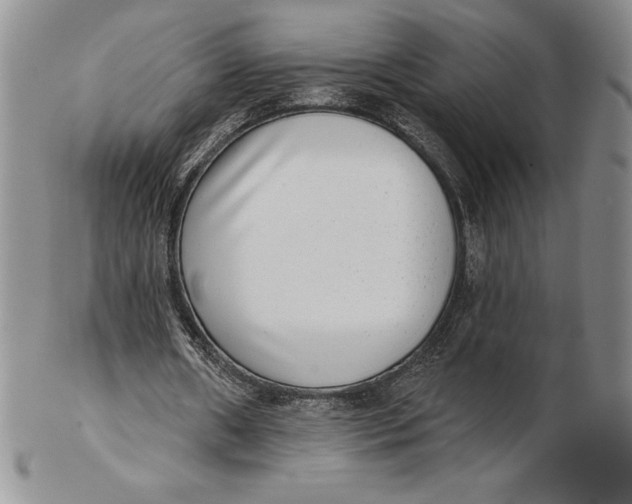 X0000102360482200808221719