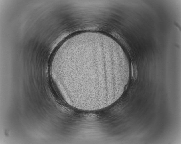 X0000102360483200808221719