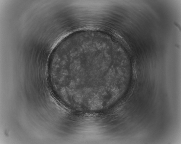 X0000102360484200808221719