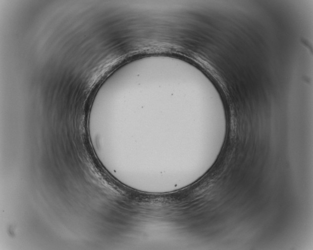 X0000102360485200808221719