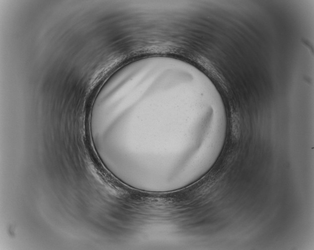 X0000102360486200808221719