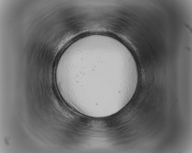 X0000102360487200808221719