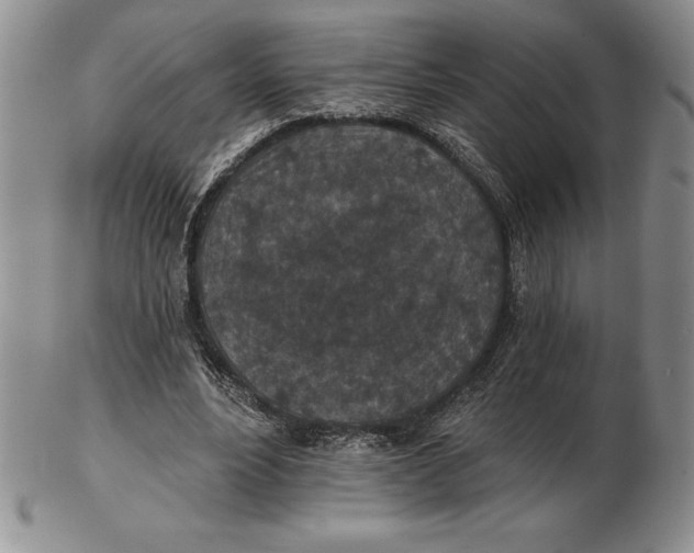 X0000102360488200808221719