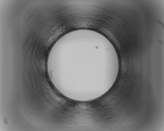 X0000102360489200808221719