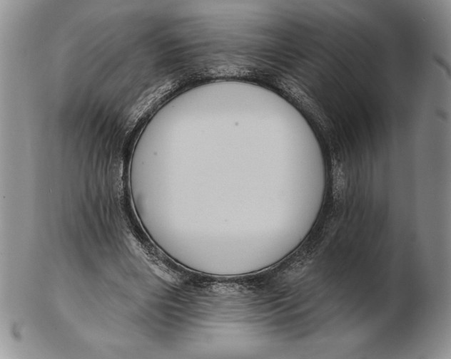 X0000102360490200808221719