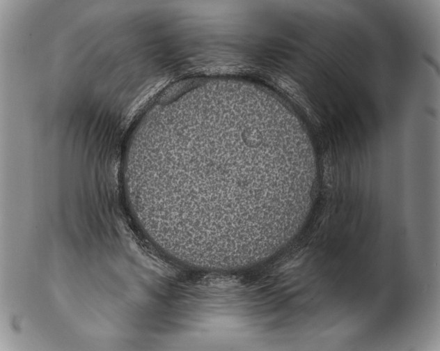 X0000102360491200808221719