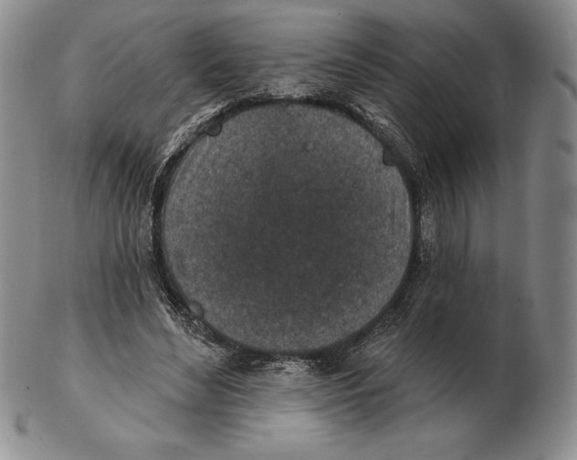 X0000102360492200808221719