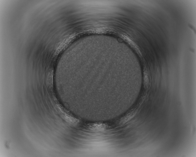 X0000102360493200808221719